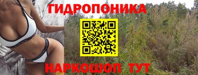 шишки Первоуральск