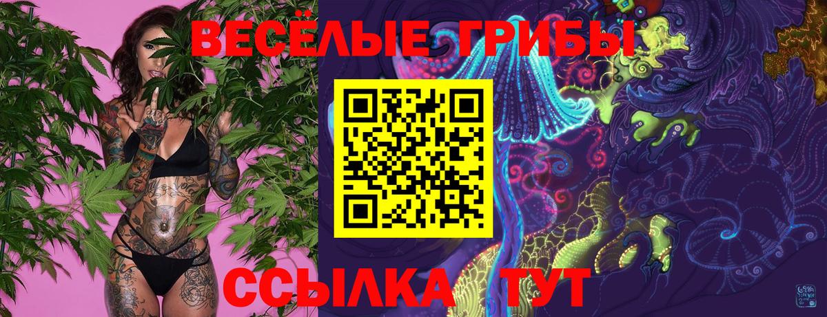  КОКАИН Солнечногорск