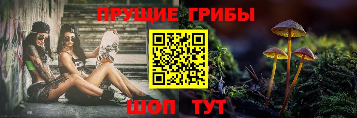 Псилоцибиновые грибы мицелий  хочу   Солнечногорск  Вход с VPN 